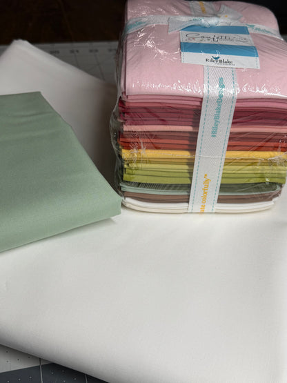 2027 Riley Blake Design Block Challenge Kit