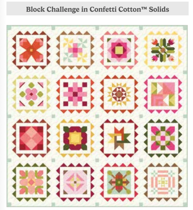 2027 Riley Blake Design Block Challenge w/complimentary 16pc sticker set (50% deposit)